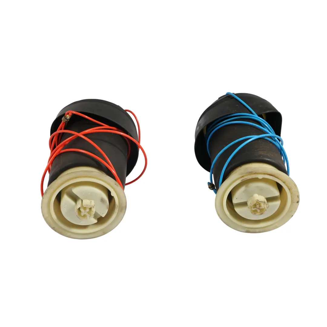 Assale Posteriore Ammortizator Pneumatico Sinistro Destro SET per BMW X5 E70 con numero di parte 6790078 BMW X5 E70 Assale Posteriore Ammortizator Pneumatico Sinistro Destro SET - SKU 6790078 - Numero di parte 6790078