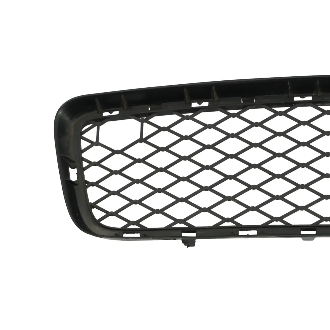 BMW X5 E70 Front Lower Bumper Center Grille Molding - SKU 7163956 - Part number 7163956