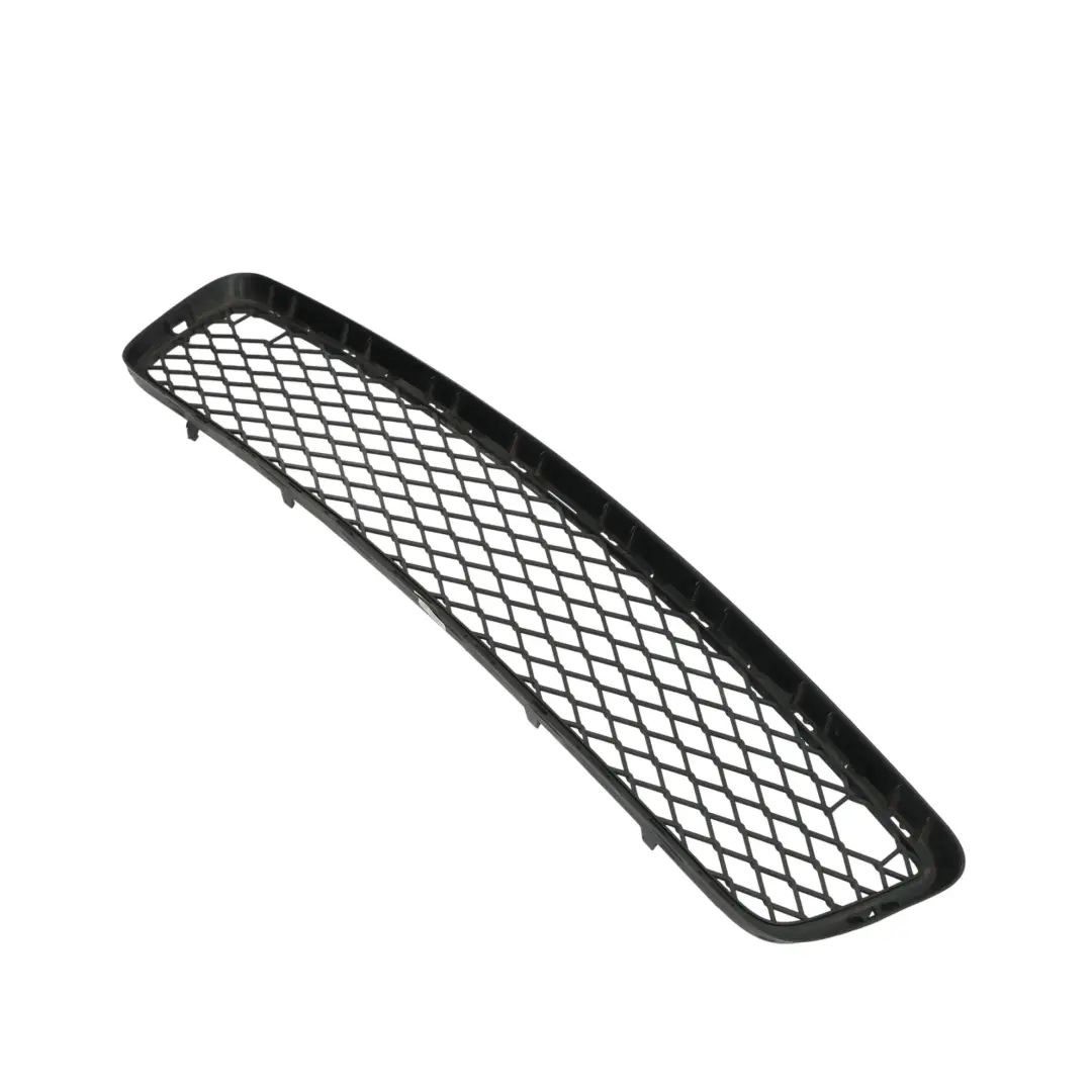 Vordere Untere Stoßstange Mitte Kühlergrill Zier Leiste für BMW X5 E70 mit Teilenummer 7163956 BMW X5 E70 Vordere Untere Stoßstange Mitte Kühlergrill Zier Leiste - SKU 7163956 - Teilenummer 7163956