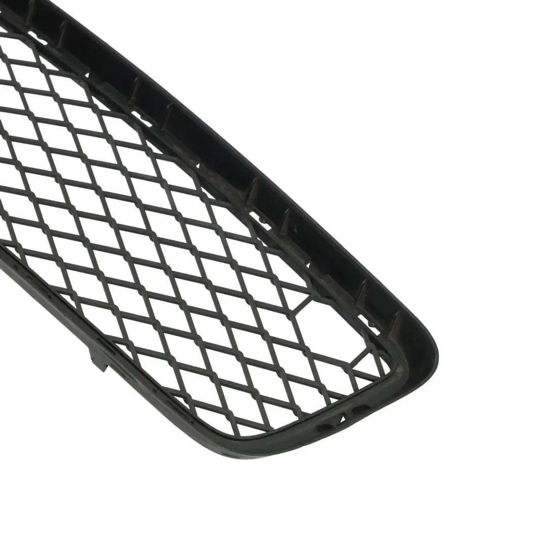 BMW X5 E70 Front Lower Bumper Center Grille Molding - SKU 7163956 - Part number 7163956