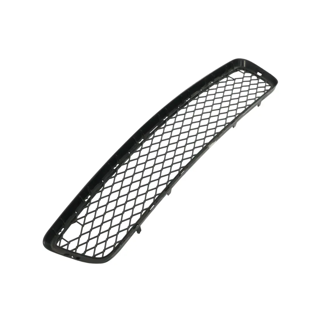 BMW X5 E70 paraurti anteriore inferiore centro griglia modanatura - SKU 7163956 - Numero di parte 7163956