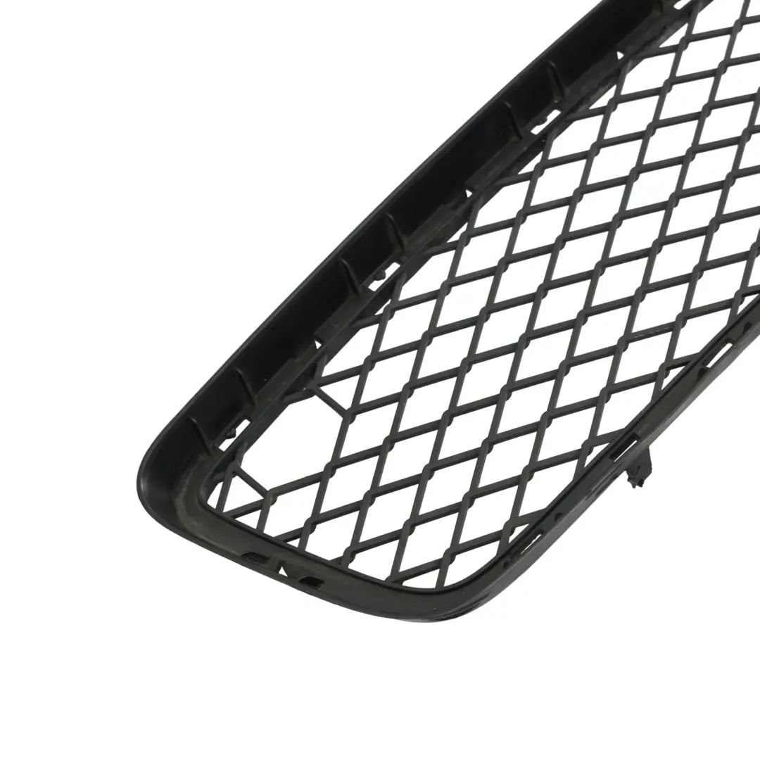 paraurti anteriore inferiore centro griglia modanatura per BMW X5 E70 con numero di parte 7163956 BMW X5 E70 paraurti anteriore inferiore centro griglia modanatura - SKU 7163956 - Numero di parte 7163956