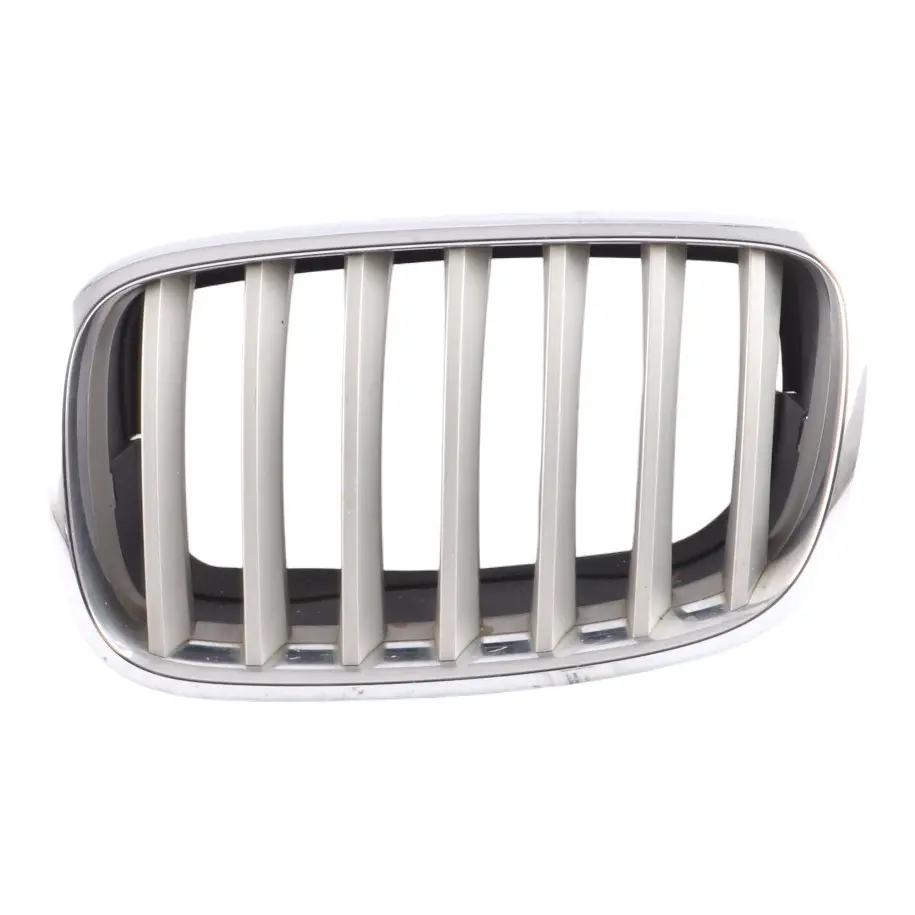 BMW X6 E71 Griglia Paraurti Anteriore Rene Argento Sinistra 7171395