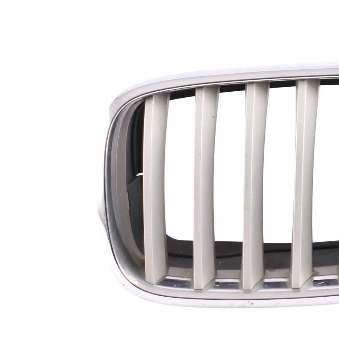 Nerka Atrapa Zderzaka Przedniego Srebrna Lewa do BMW X6 E71 o numerze 7171395 BMW X6 E71 Nerka Atrapa Zderzaka Przedniego Srebrna Lewa - SKU 7171395-2 - Numer Części 7171395