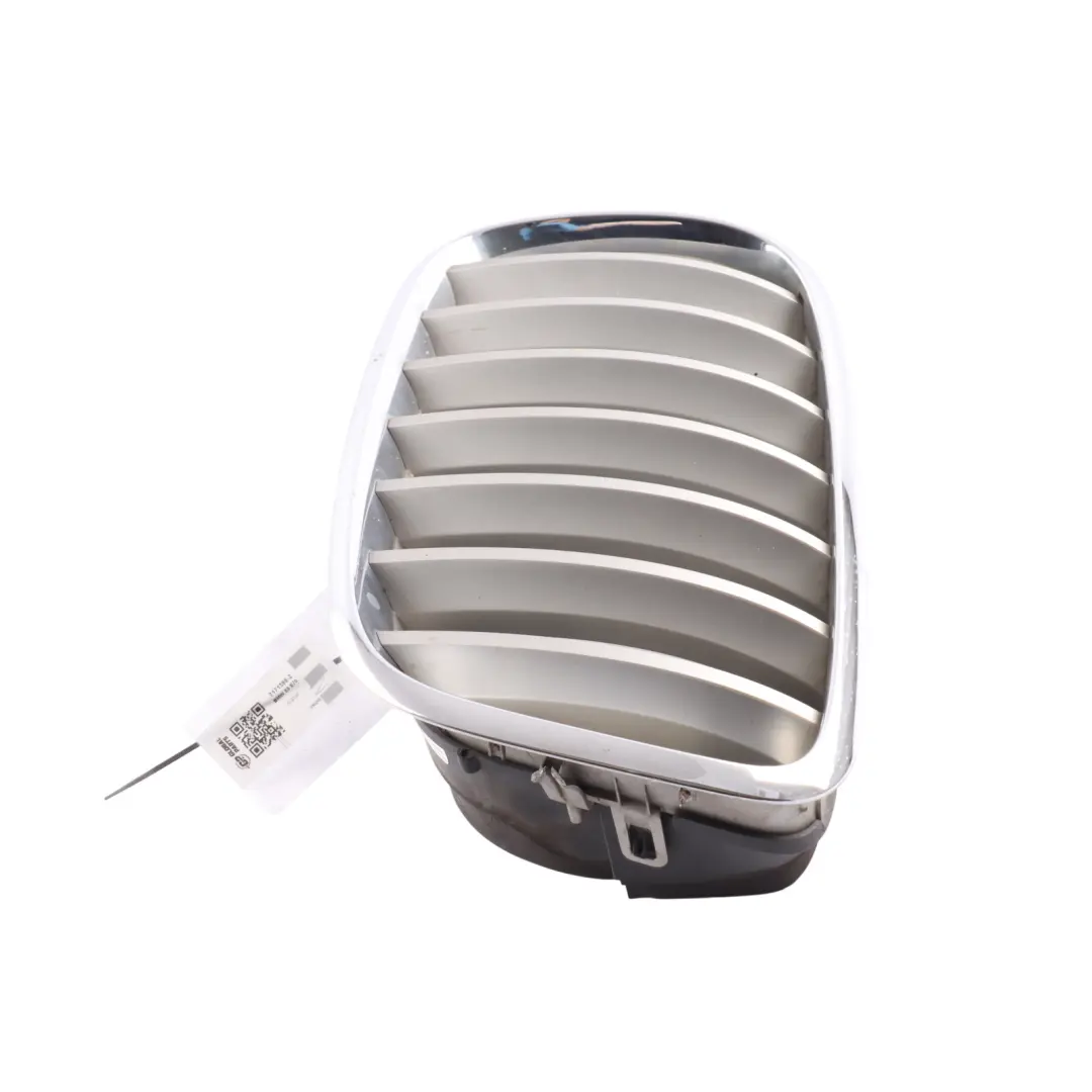 Nerka Atrapa Zderzaka Przedniego Srebrna Lewa do BMW X6 E71 o numerze 7171395 BMW X6 E71 Nerka Atrapa Zderzaka Przedniego Srebrna Lewa - SKU 7171395-2 - Numer Części 7171395