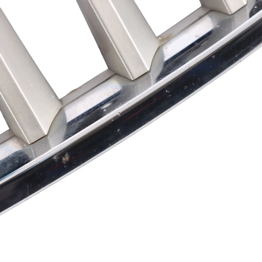 Grille Calandre Avant Rein Argent Gauche pour BMW X6 E71 à propos du numéro de pièce 7171395 BMW X6 E71 Grille Calandre Avant Rein Argent Gauche - SKU 7171395-2 - Numéro de pièce 7171395