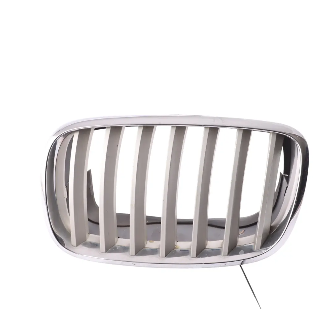 Kühlergrill Vorne Niere Silber Links für BMW X6 E71 mit Teilenummer 7171395 BMW X6 E71 Kühlergrill Vorne Niere Silber Links - SKU 7171395-2 - Teilenummer 7171395
