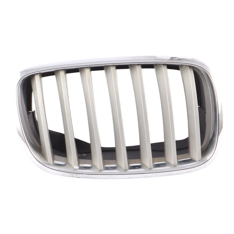 Griglia Paraurti Anteriore Rene Argento Destro per BMW X6 E71 con numero di parte 7171396 BMW X6 E71 Griglia Paraurti Anteriore Rene Argento Destro - SKU 7171396-2 - Numero di parte 7171396