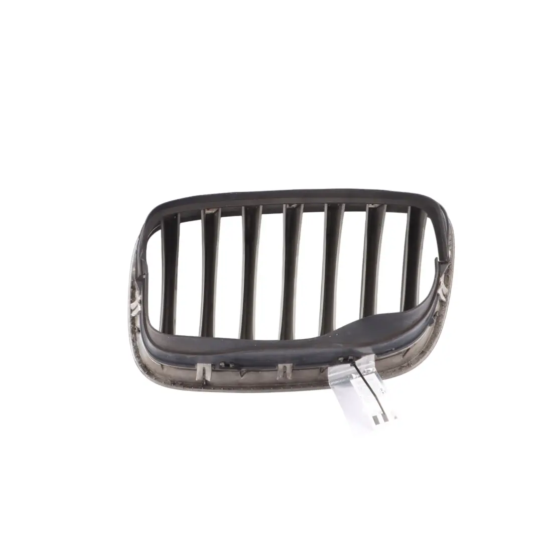 Griglia Paraurti Anteriore Rene Argento Destro per BMW X6 E71 con numero di parte 7171396 BMW X6 E71 Griglia Paraurti Anteriore Rene Argento Destro - SKU 7171396-2 - Numero di parte 7171396