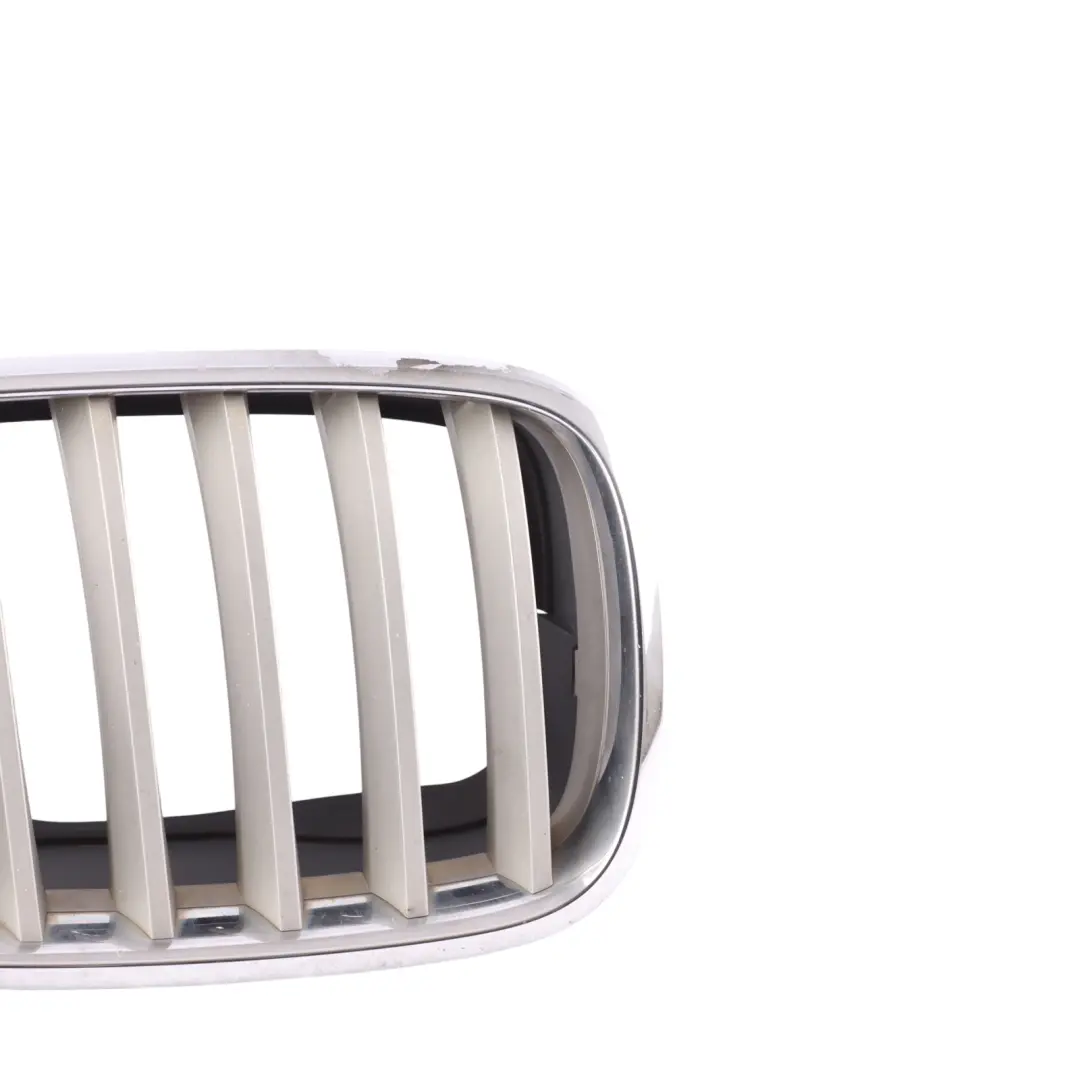 BMW X6 E71 Front Bumper Grille Front Kidney Silver Right O/S - SKU 7171396-2 - Part number 7171396