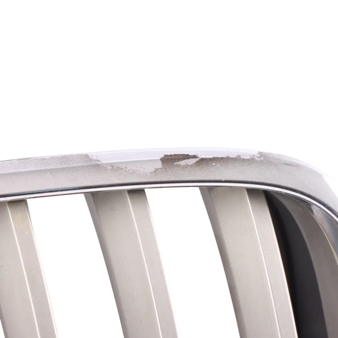 BMW X6 E71 Grille Calandre Pare-Chocs Avant Rein Argent Droit - SKU 7171396-2 - Numéro de pièce 7171396