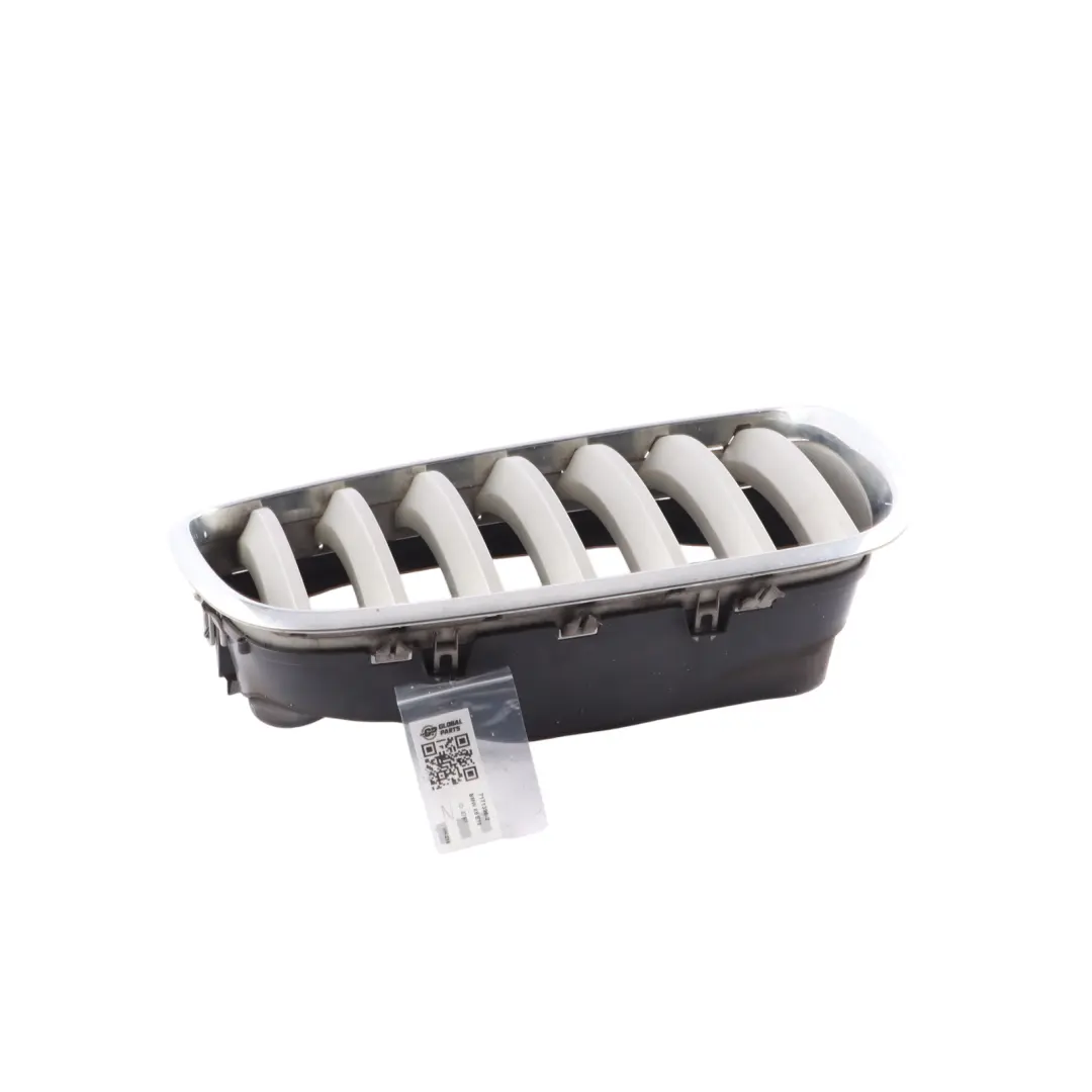 Parrilla Delantera Riñón Plata Derecha para BMW X6 E71 con número de pieza 7171396 BMW X6 E71 Parrilla Delantera Riñón Plata Derecha - SKU 7171396-2 - Número de pieza 7171396