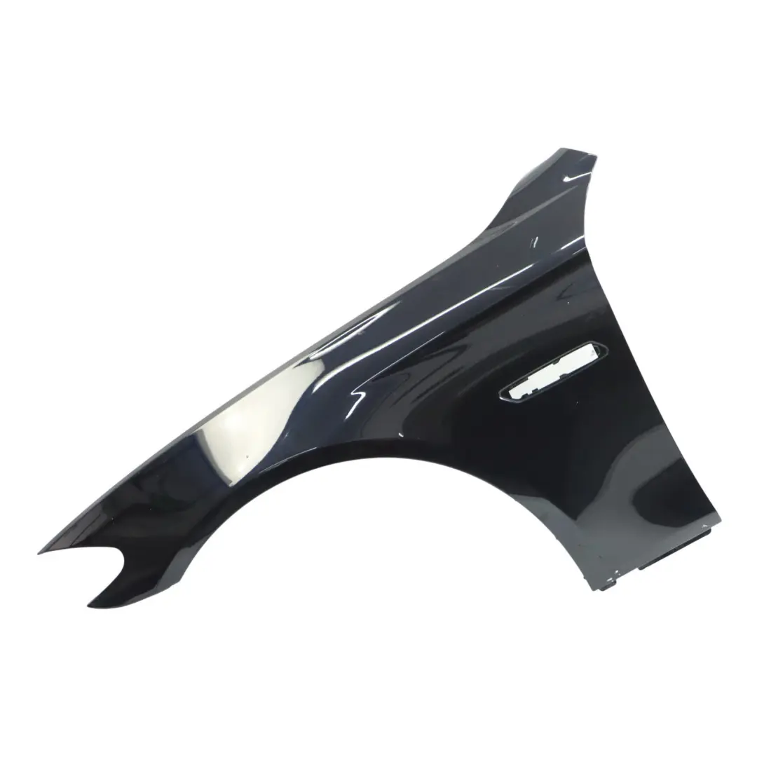  Pannello Laterale BMW F10 F11 Parafango Anteriore Sinistro Carbonschwarz 416 - SKU 7248659-CAR2 - Numero di parte 7248659