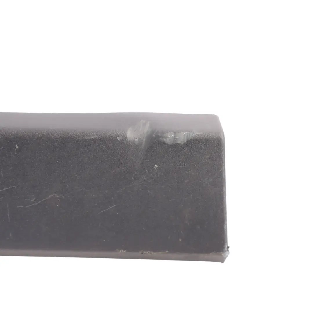 BMW X1 F48 Door Moulding Front Left N/S Trim Strip Panel Primed - SKU 7352091 - Part number 7352091