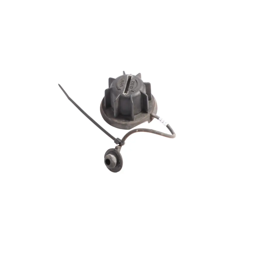 Tapa De Tornillo Para Parabrisas para BMW F45 F46 con número de pieza 7399267 BMW F45 F46 Tapa De Tornillo Para Parabrisas - SKU 7399267 - Número de pieza 7399267