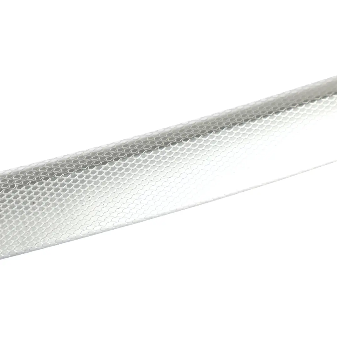 Door Decor Strip Trim Cover Aluminium Glacier Silver Right O/S to BMW E90 E91 Rear with Part number 8036082 BMW E90 E91 Rear Door Decor Strip Trim Cover Aluminium Glacier Silver Right O/S - SKU 8036082 - Part number 8036082