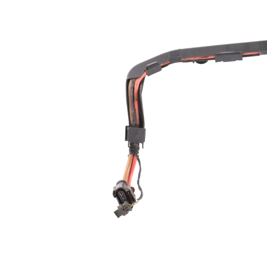 Cavo Adattatore EPS per BMW X1 F48 LCI F39 F45 Mini F60 con numero di parte 8801727 BMW X1 F48 LCI F39 F45 Mini F60 Cavo Adattatore EPS - SKU 8801727 - Numero di parte 8801727