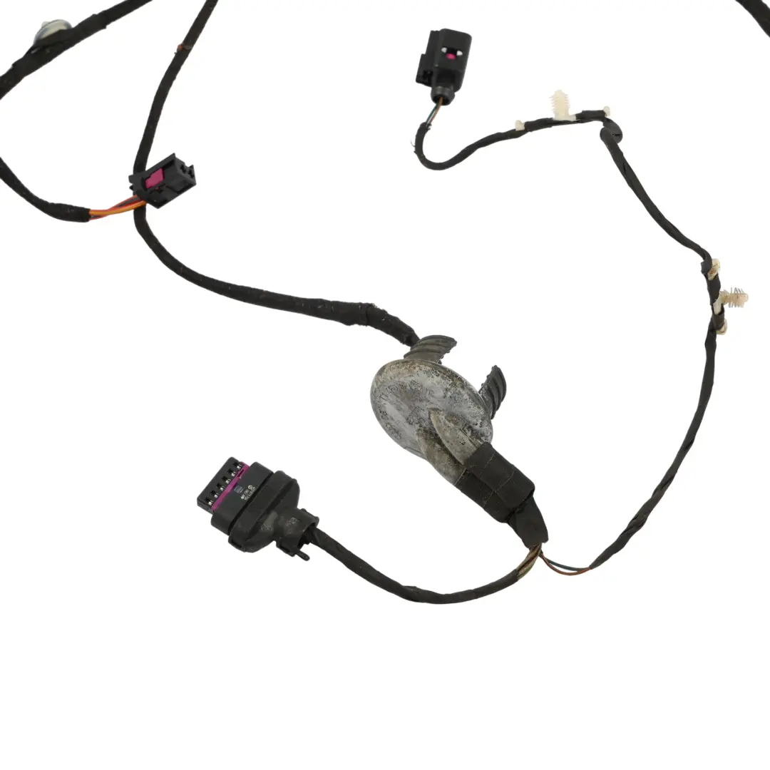 Mazo De Cableado Eléctrico Puerta Delantera Lado Pasajero para Audi A5 8T con número de pieza 8F0971030AM Audi A5 8T Mazo De Cableado Eléctrico Puerta Delantera Lado Pasajero - SKU 8F0971030AM - Número de pieza 8F0971030AM
