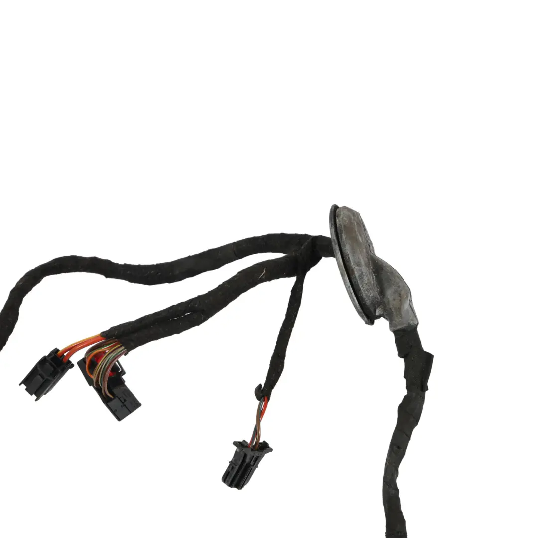 Audi A5 8T Mazo De Cableado Eléctrico Puerta Delantera Lado Pasajero - SKU 8F0971030AM - Número de pieza 8F0971030AM