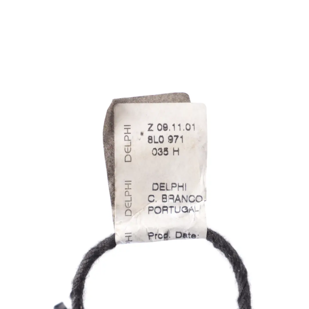 8L Faisceau Câblage Panneau Porte Avant Droit pour Audi A3 S3 à propos du numéro de pièce 8L0971035H Audi A3 S3 8L Faisceau Câblage Panneau Porte Avant Droit - SKU 8L0971035H - Numéro de pièce 8L0971035H