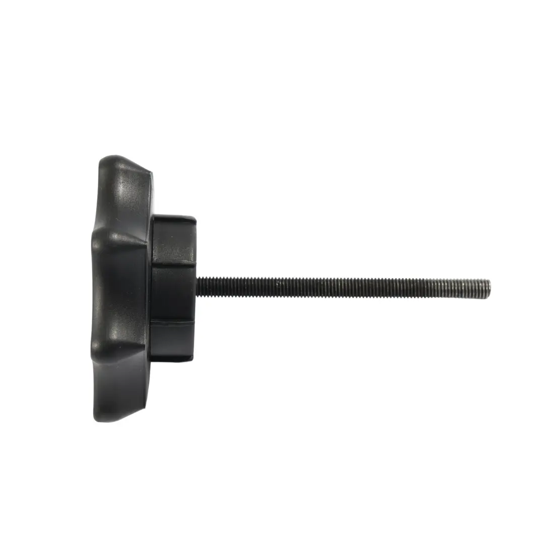 Audi TT 8N Spare Tyre Wheel Mount Holder Carrier Security Bolt Screw - SKU 8N0803899 - Part number 8N0803899