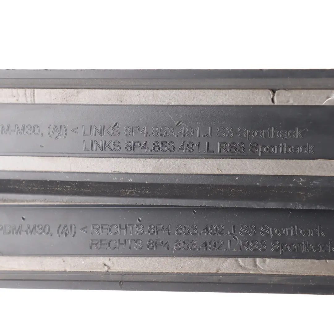 Audi RS3 8P Moldura Umbral Puerta Juego Delantero Trasero - SKU 8P4853491L-1 - Número de pieza 8P4853491L