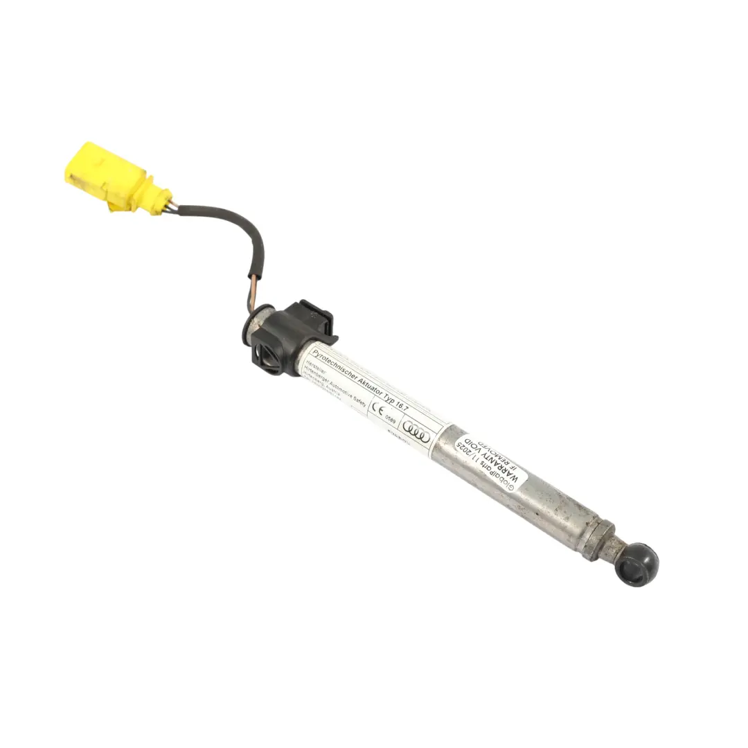 8S Attivatore Attuatore Protezione Pedoni Cofano Anteriore per Audi TT FV con numero di parte 8S0823823 Audi TT FV 8S Attivatore Attuatore Protezione Pedoni Cofano Anteriore - SKU 8S0823823 - Numero di parte 8S0823823