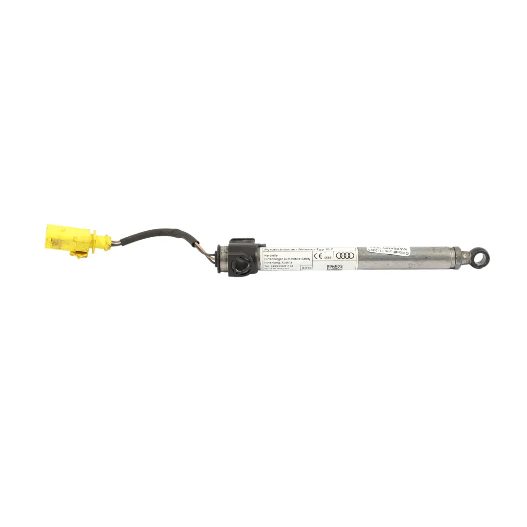 8S Activador Actuador Protección Peatones Capó Delantero para Audi TT FV con número de pieza 8S0823823 Audi TT FV 8S Activador Actuador Protección Peatones Capó Delantero - SKU 8S0823823 - Número de pieza 8S0823823