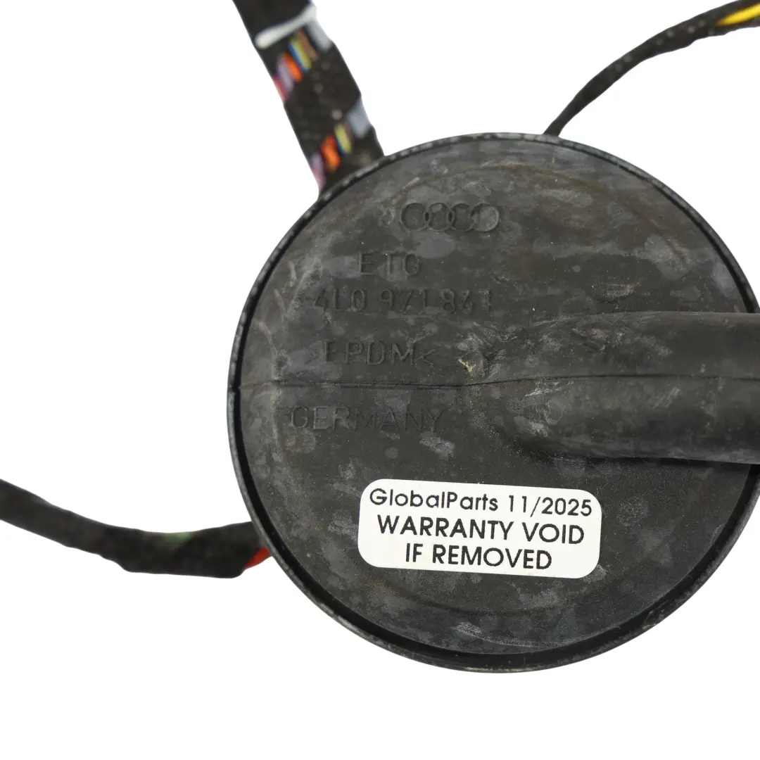 Audi A3 S3 8V Porta Anteriore Cablaggio Cavo Lato Guida - SKU 8V4971029M - Numero di parte 8V4971029M