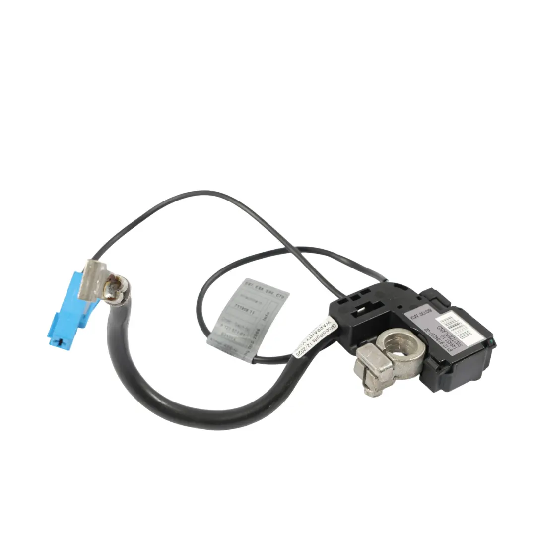 BMW E90 E91 E92 E93 Câble Négatif Batterie Moins Pôle Adaptateur IBS - SKU 9184207 - Numéro de pièce 9184207