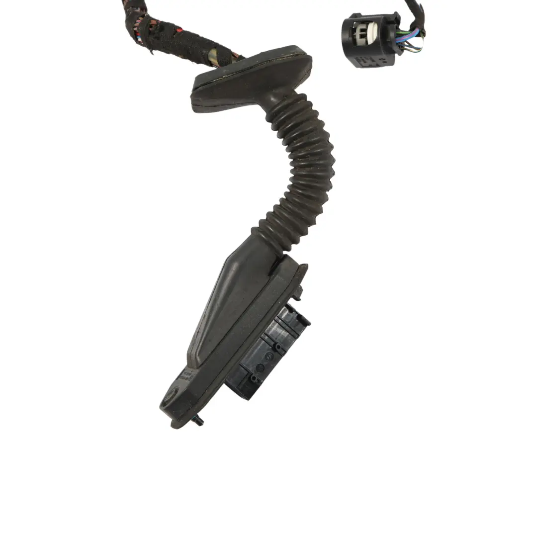 Cableado De La Puerta Del Lado Del Pasajero Mazo De Cables para BMW Z4 E89 con número de pieza 9225792 BMW Z4 E89 Cableado De La Puerta Del Lado Del Pasajero Mazo De Cables - SKU 9225792 - Número de pieza 9225792