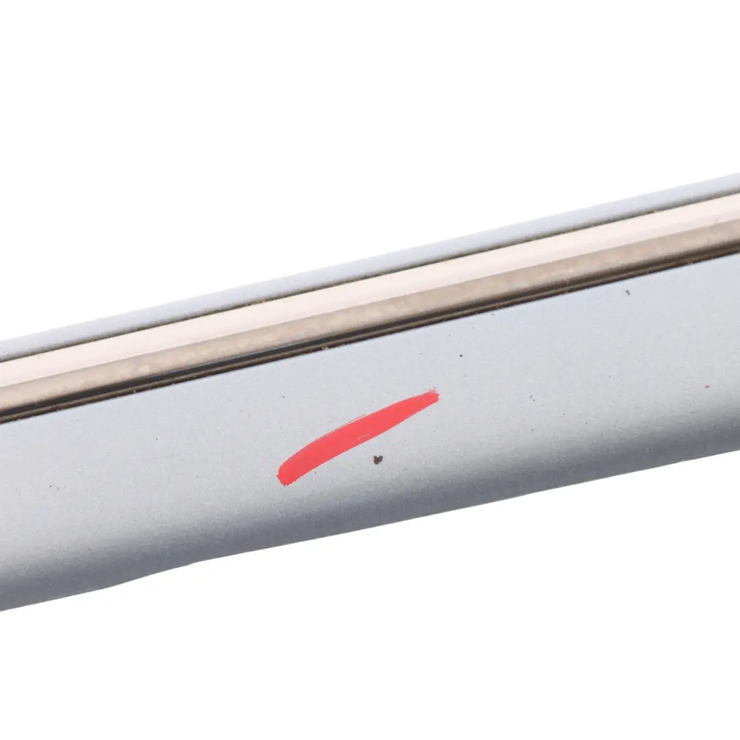 Mercedes W169 Front Door Strip Left N/S Horizon Blue Metallic 391 - SKU A1696900362-HBL - Part number A1696900362