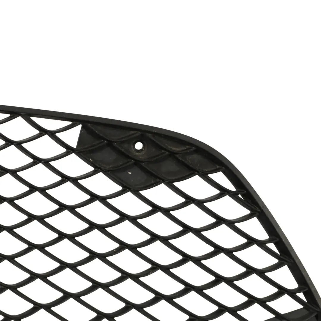 Frontstoßstange Unterer Kühlergrill Mesh Trim Links für Mercedes W212 mit Teilenummer A2128850224 Mercedes W212 Frontstoßstange Unterer Kühlergrill Mesh Trim Links - SKU A2128850224 - Teilenummer A2128850224