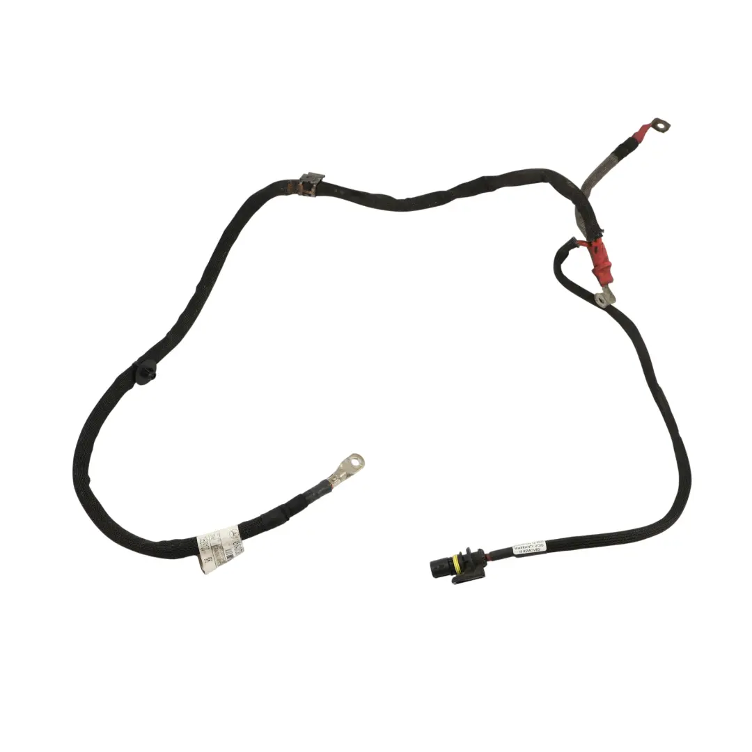 Mercedes V251 Positives Batterie Kabel Kabelbaum Kabel Baum - SKU A2515401730 - Teilenummer A2515401730