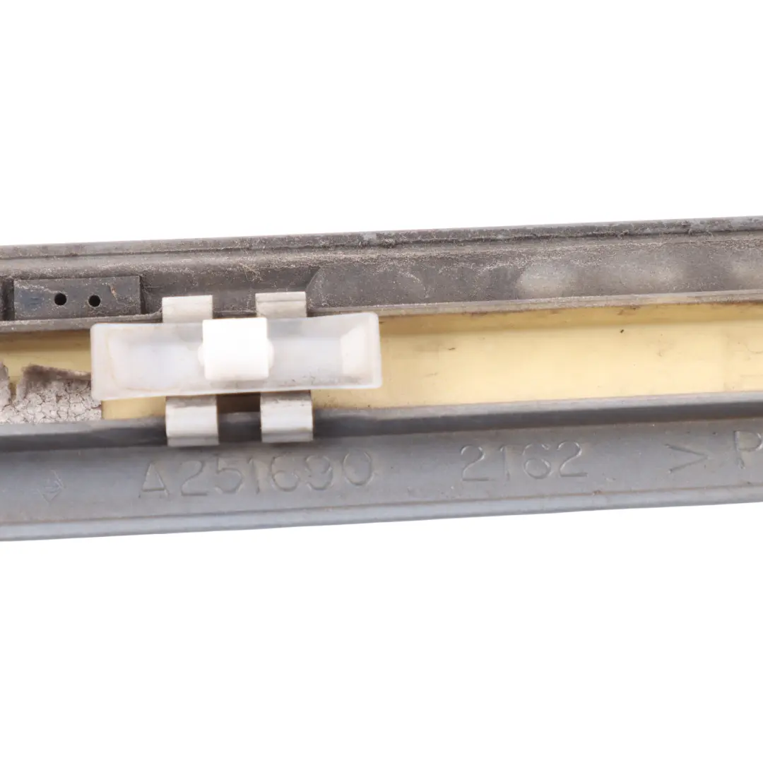 Mercedes W251 Front Door Strip Trim Outer Left N/S Palladium Silver Metallic 792 - SKU A2516902162-PAL - Part number A2516902162