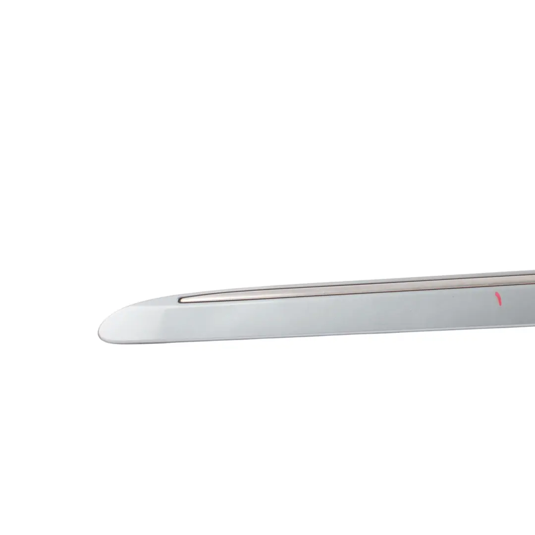 Front Door Strip Trim Outer Left N/S Palladium Silver Metallic 792 to Mercedes W251 with Part number A2516902162 Mercedes W251 Front Door Strip Trim Outer Left N/S Palladium Silver Metallic 792 - SKU A2516902162-PAL - Part number A2516902162