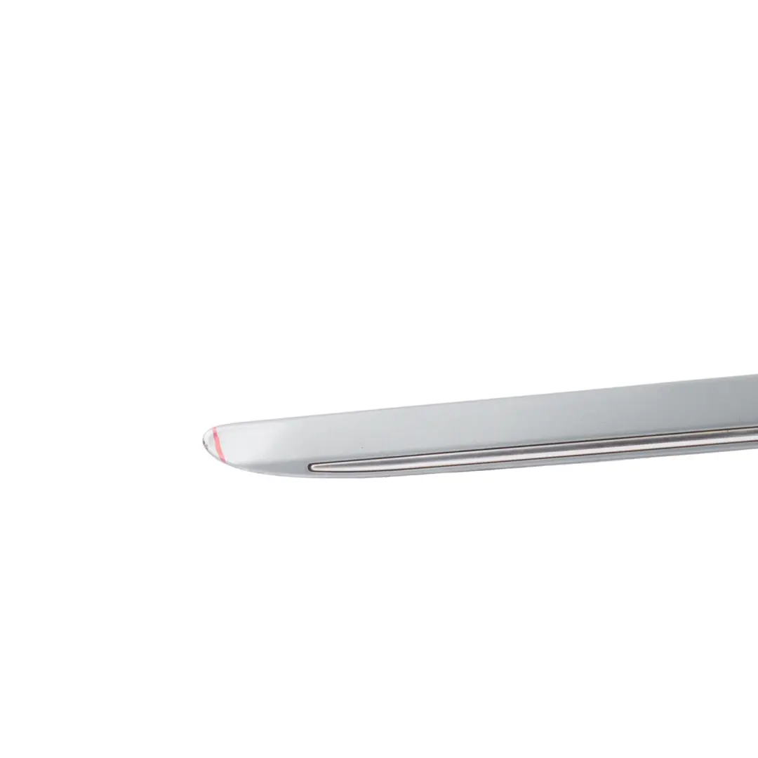 Front Door Trim Moulding Right O/S Palladium Silver Metallic 792 to Mercedes W251 with Part number A2516902262 Mercedes W251 Front Door Trim Moulding Right O/S Palladium Silver Metallic 792 - SKU A2516902262-PAL - Part number A2516902262