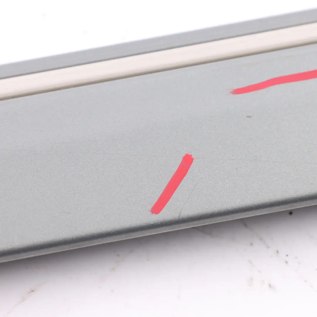 Mercedes V251 Door Moulding Strip Trim Cover Rear Left N/S Palladium Silver-792 - SKU A2516902562-PAL - Part number A2516902562