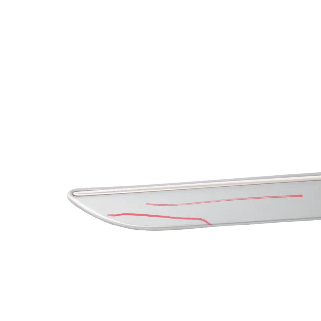 Mercedes W251 Rear Door Trim Moulding Right O/S Palladium Silver Metallic 792 - SKU A2516902662-PAL - Part number A2516902662