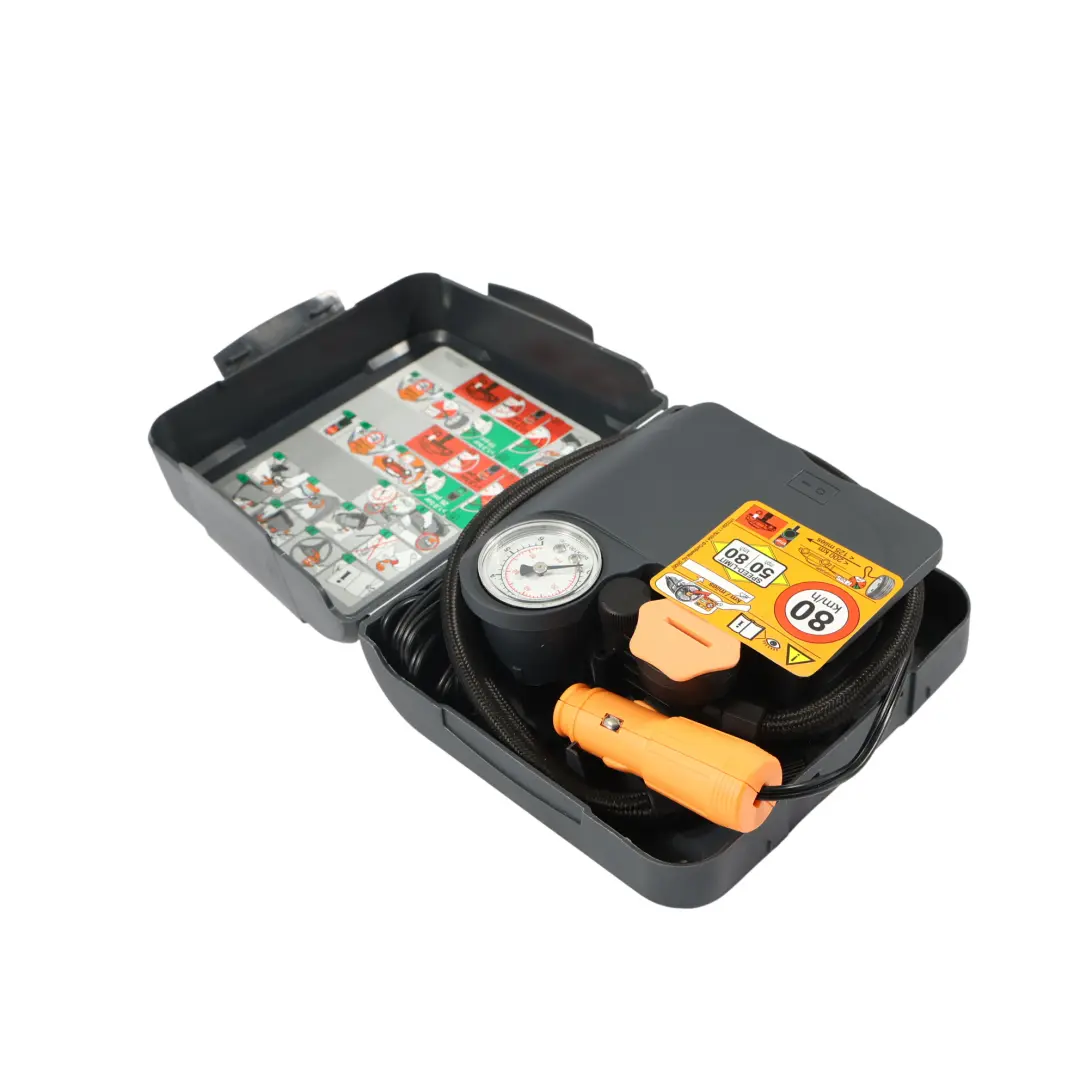 Smart Fortwo C450 C451 Unità Compressore Riparazione Pneumatici - SKU A4515830002 - Numero di parte A4515830002