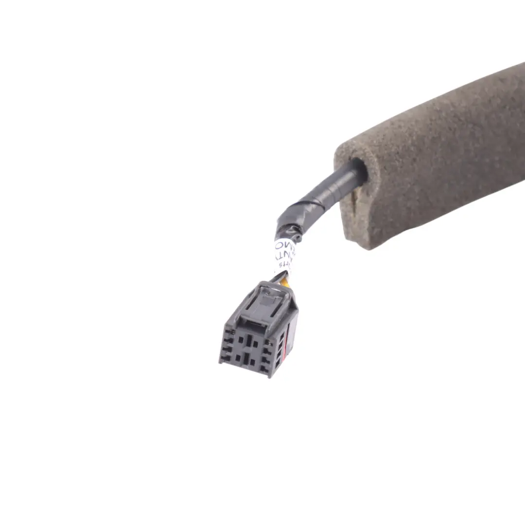 Mk8 Tailgate Licence Plate Surround Light Lamp Blue - FCC to Ford Transit Custom with Part number BK21-13555-CH5JCT Ford Transit Custom Mk8 Tailgate Licence Plate Surround Light Lamp Blue - FCC - SKU BK21-13555-CH5JCT-BLU - Part number BK21-13555-CH5JCT