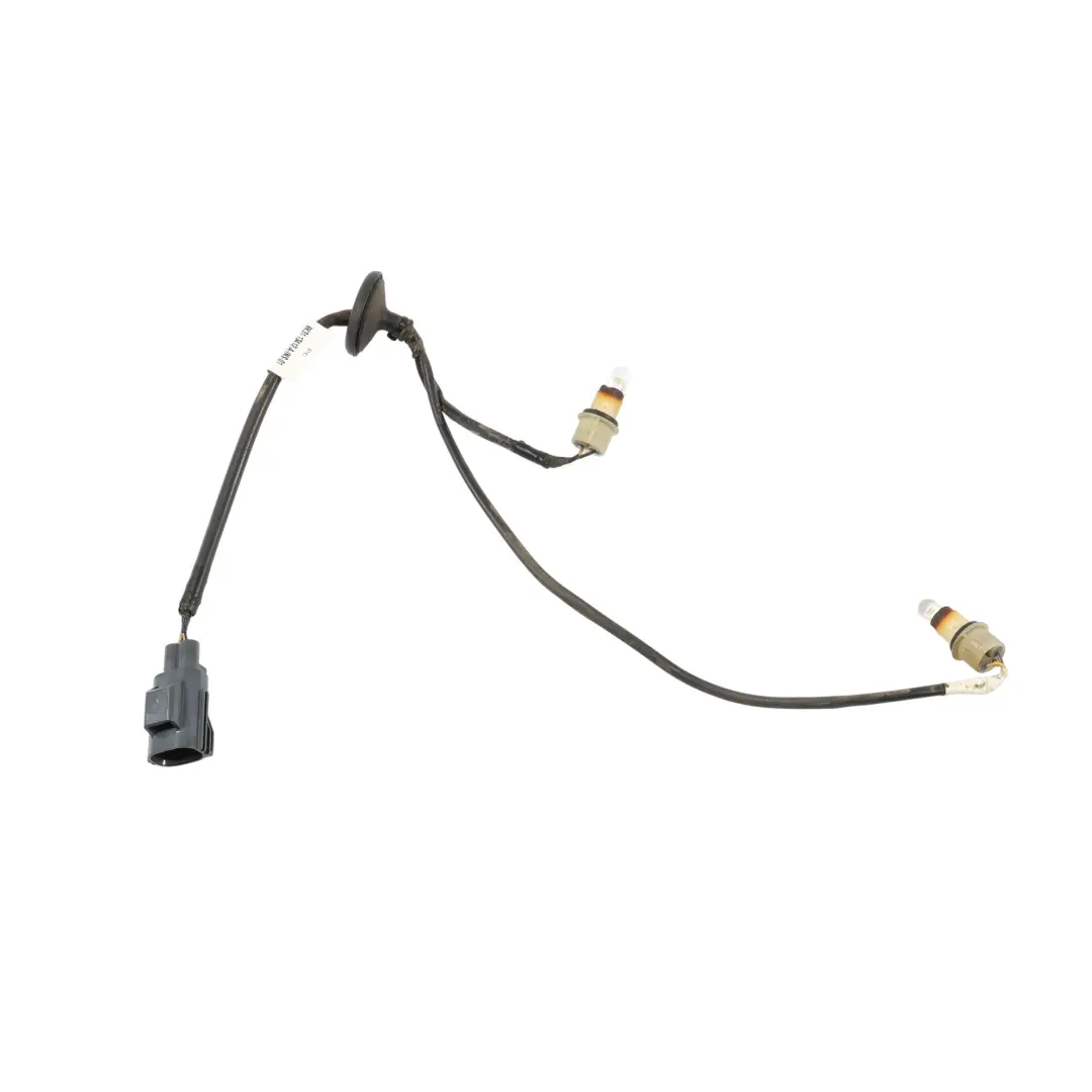 Ford Transit Mk8 Luz De Matrícula Trasera Del Maletero Cable BK3113412A - SKU BK3113412A-1 - Número de pieza BK31-13412-A