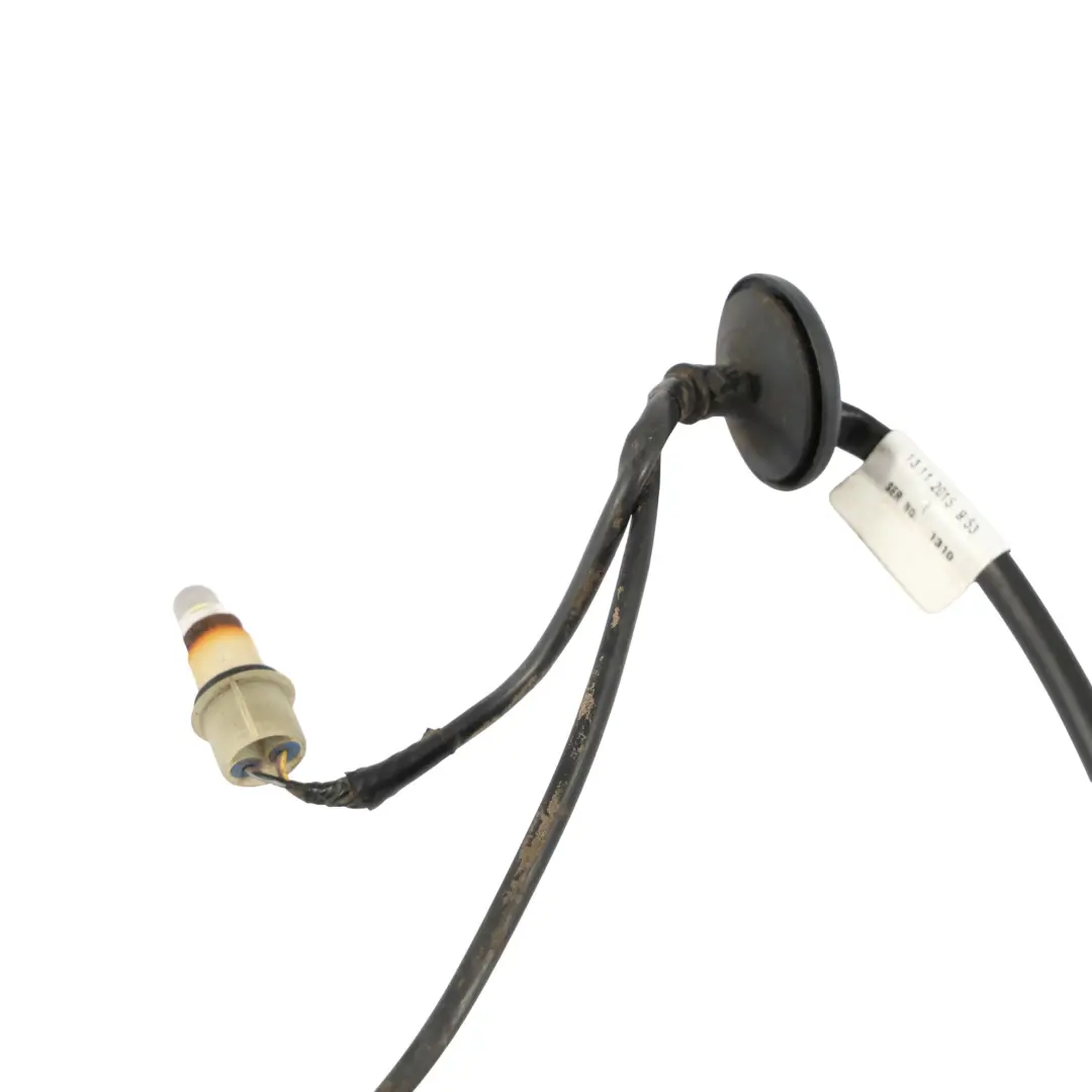 Ford Transit Mk8 Hinteren Kofferraum Nummer Platte Licht Lampe Kabel BK3113412A - SKU BK3113412A-1 - Teilenummer BK31-13412-A