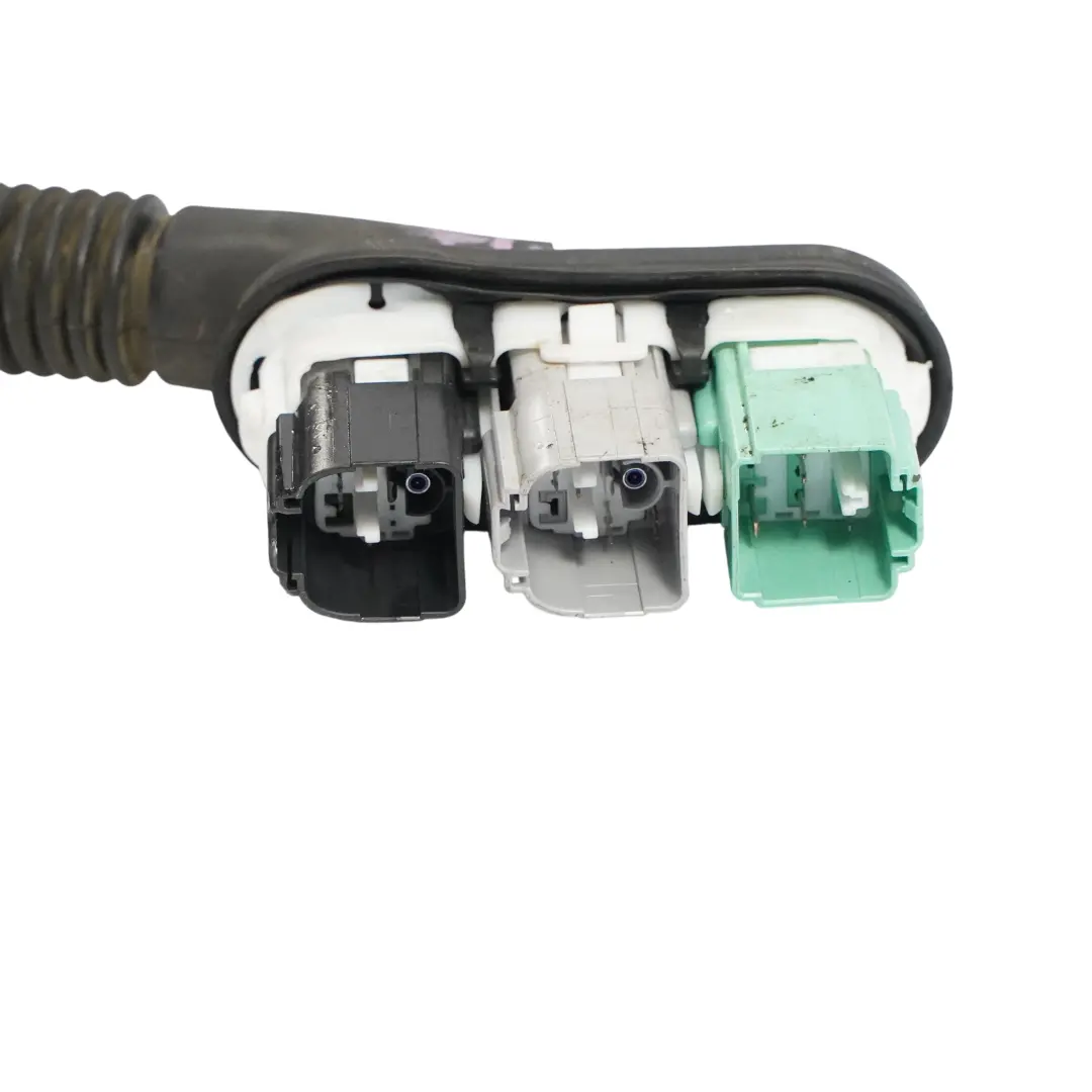 VW Amarok NF Vordere Tür Kabelbaum Verkabelung Beifahrerseite N1XT14630TFE - SKU N1XT-14630-TFE - Teilenummer N1XT-14630-TFE