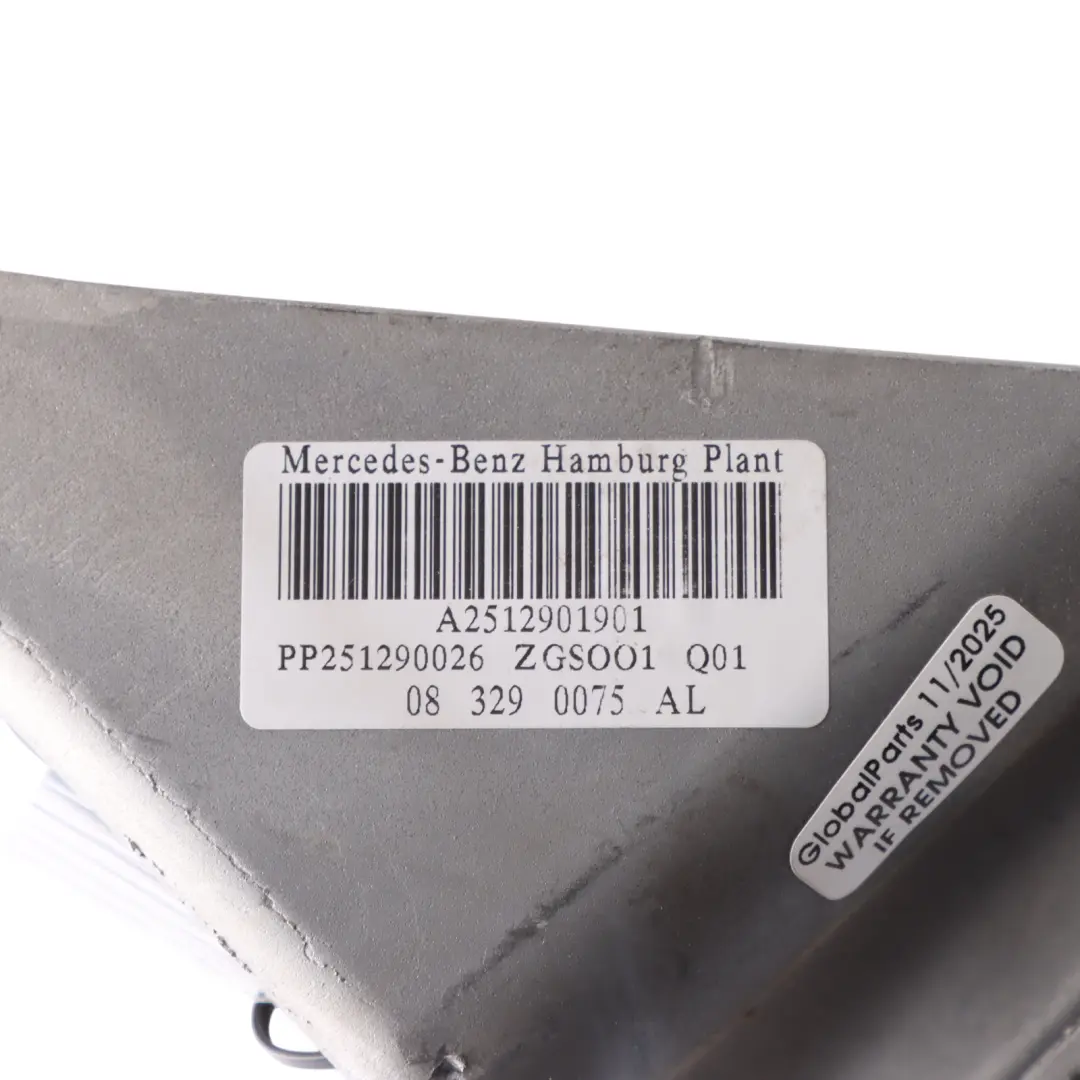 Mercedes W251 Brake Foot Pedal Braking Unit Assembly - SKU RHD-A2512901901 - Part number A2512901901