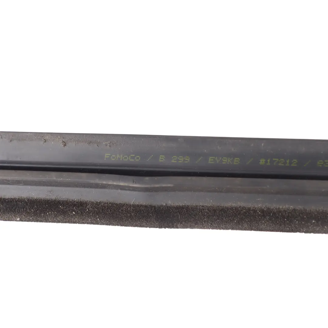 Ford Fiesta Mk7 Exterior Front Door Belt Gasket Seal Right O/S - SKU 1763367 - Part number 1763367