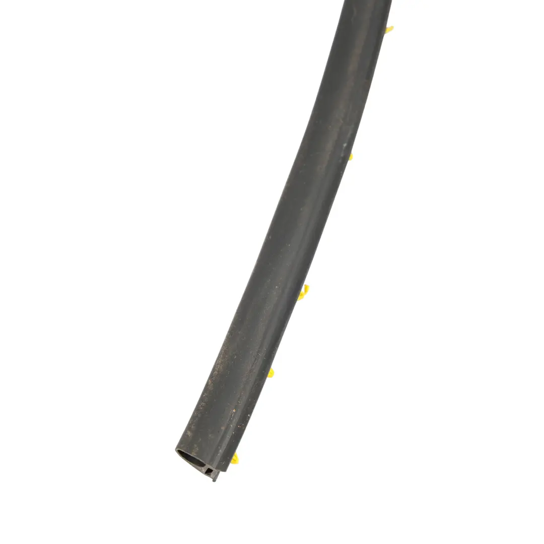 Volkswagen T-Roc A11 Striscia Di Guarnizione Porta Posteriore Destra - SKU 2GA839700 - Numero di parte 2GA839700