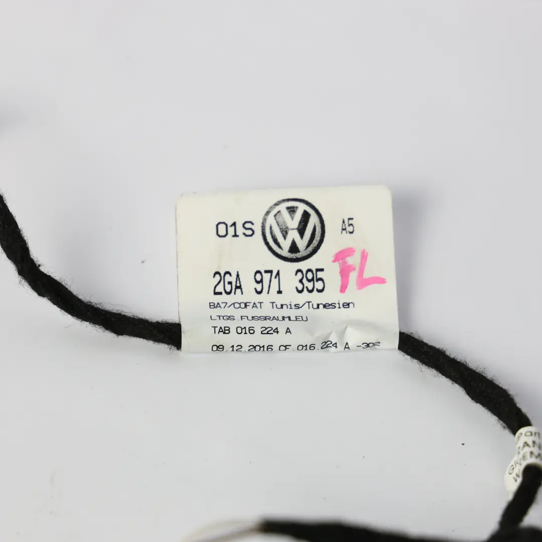 Volkswagen T-ROC A11 Cablaggio Luce Ambiente Porta Anteriore Sinistra - SKU 2GA971395 - Numero di parte 2GA971395