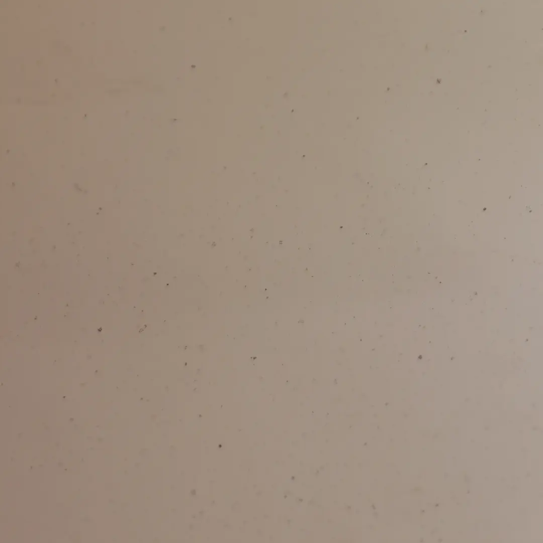 Door Right O/S Boot Tailgate Door Candy White - B9A to Volkswagen VW Caddy Rear with Part number 2K0827092G Volkswagen VW Caddy Rear Door Right O/S Boot Tailgate Door Candy White - B9A - SKU 2K0827092G-CAN - Part number 2K0827092G