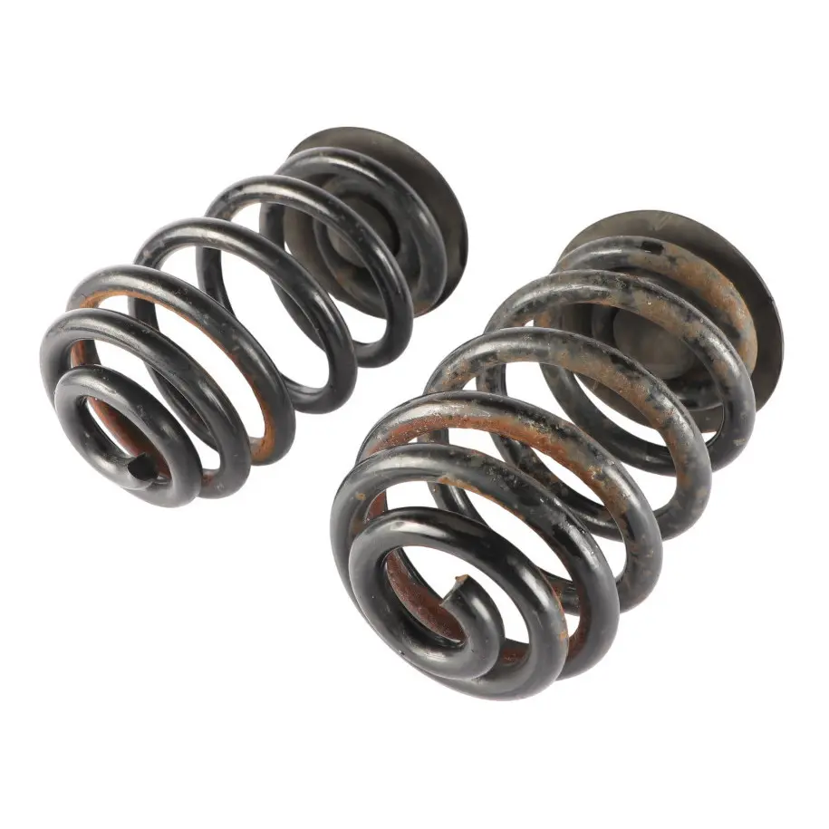 BMW X3 E83 Coil Spring Rear Axle Suspension Set X2 Left Right N/O/S 3413184